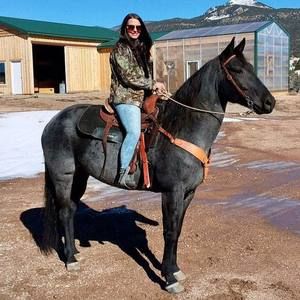 Meet your Posher, Breelynn